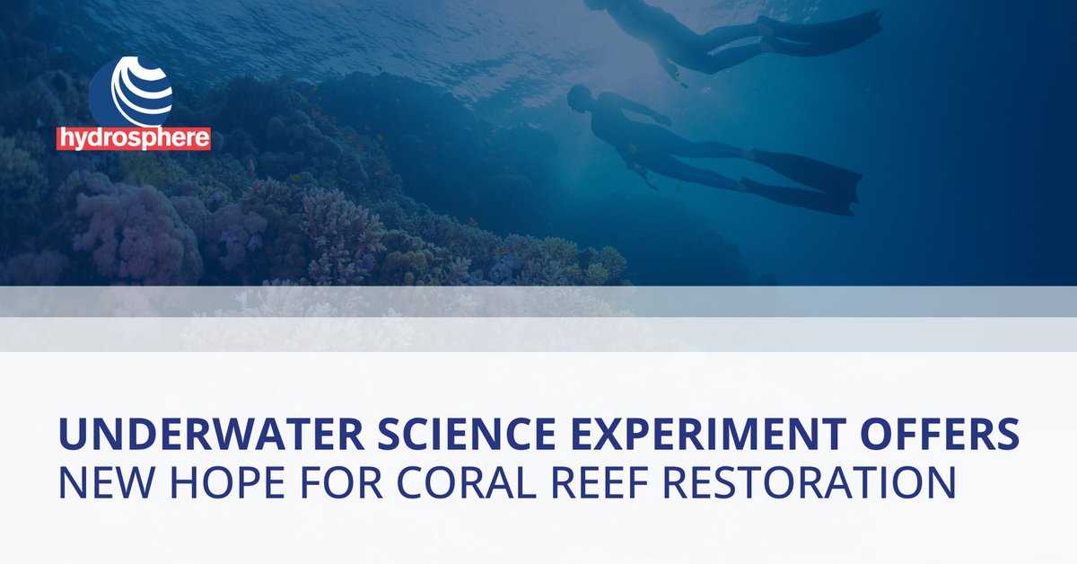 Good news for #CoralReefs! 🪸

An underwater experiment to restore coral reefs using a combination of ‘coral IVF’ and recordings of fish noises is offering new-found hope to scientists trying to revive our #OceanEcosystems.

Learn more via @guardian: bit.ly/3QsxKGi.