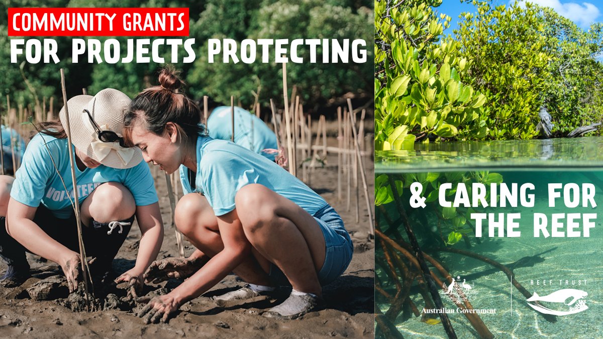 A new $6.5 million grant opportunity is now open to support on-ground action by local communities to protect and care for the Reef across the #GreatBarrierReef catchments. Find out more at brnw.ch/21wJIpb