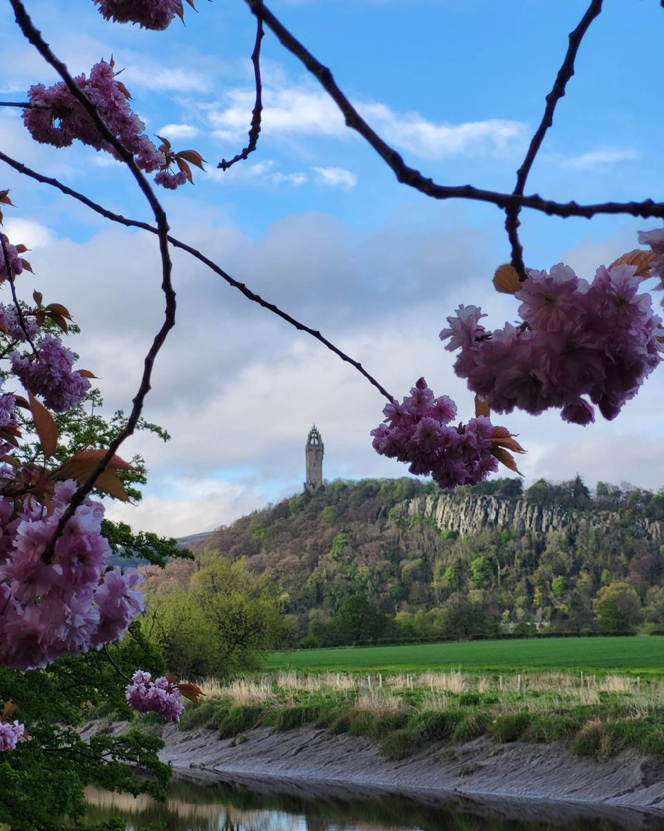 Don't wait for opportunity, create it. 🌸 #MondayMotivation

We LOVE this photo of <a href="/TheWallaceMon/">The National Wallace Monument</a> by <a href="/constantinou/">constantinou</a>.niki on IG📸 #BeHereBeStirling