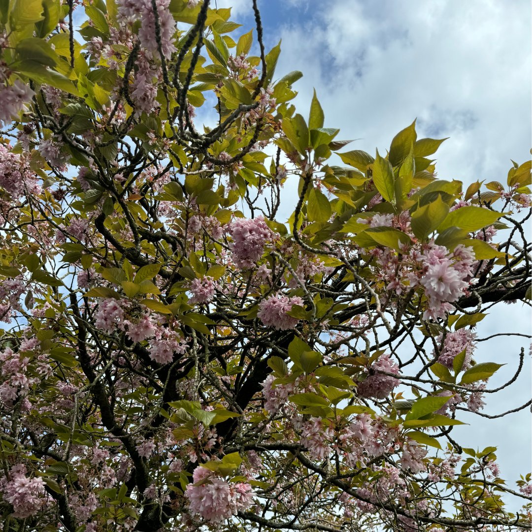 MAD_Comms's tweet image. Dreaming of this time last week 💭 

This time last week we were making the most of the bank holiday weekend by relaxing in the sunshine ⛅ 

But we&apos;re back and feeling refreshed, ready to tackle a brand new week! 

Let&apos;s make it a great one 🙌