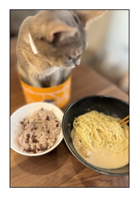 たぶん本当はもっとお湯入れて食べるもんだと思うんですけどこの写真くらいのお湯の量で食べると完全に天一のこってりになります。食べたらわかる。でもさすがにお店で食べるほうがおいしいよ。こんな感じのグルメ漫画いっぱいまとめたのがあるのでよかったら読んでね 