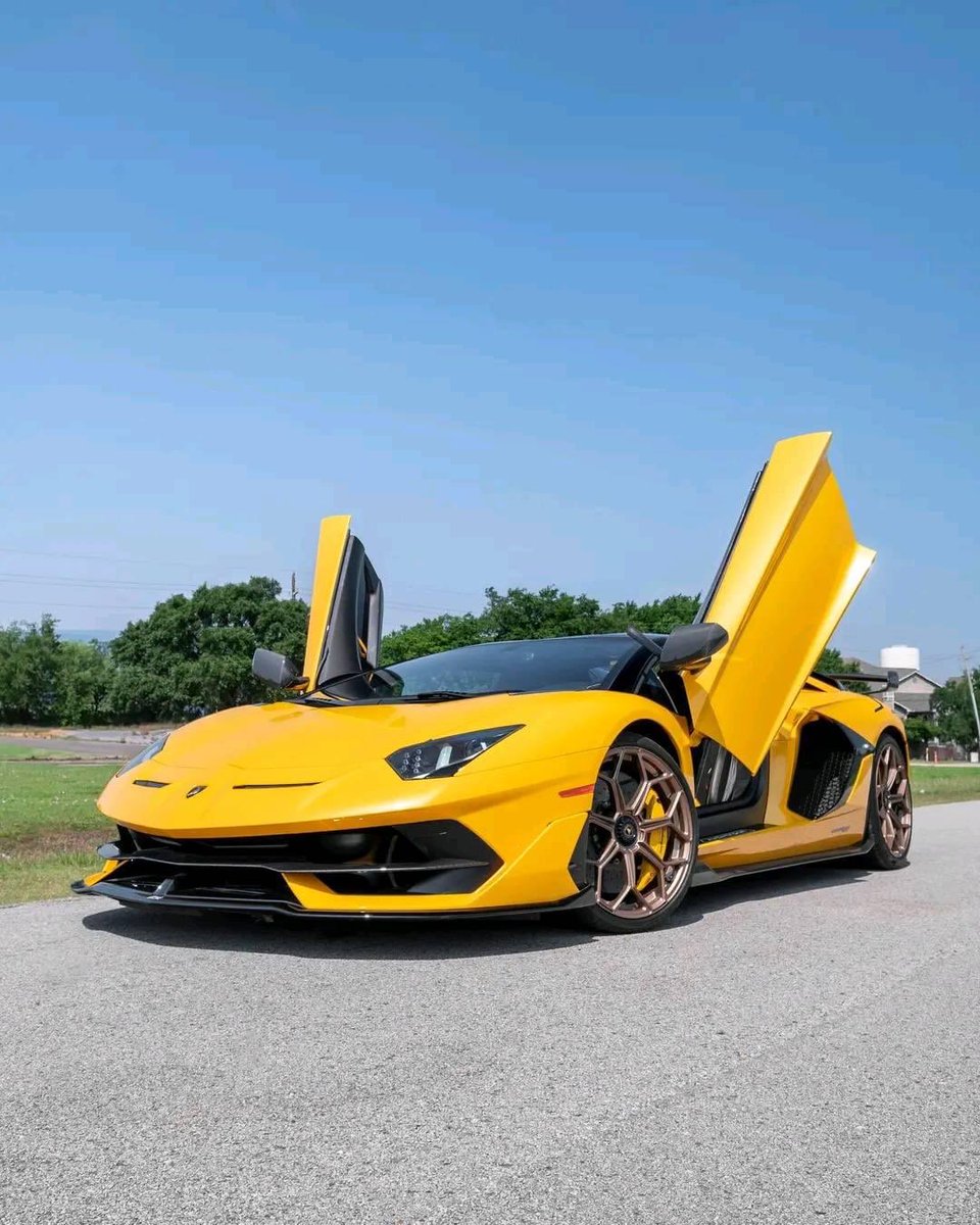 A yellow Lamborghini Aventador SVJ lifting it's wings high and ready to fly 🐝 

📸 Lamborghini Houston