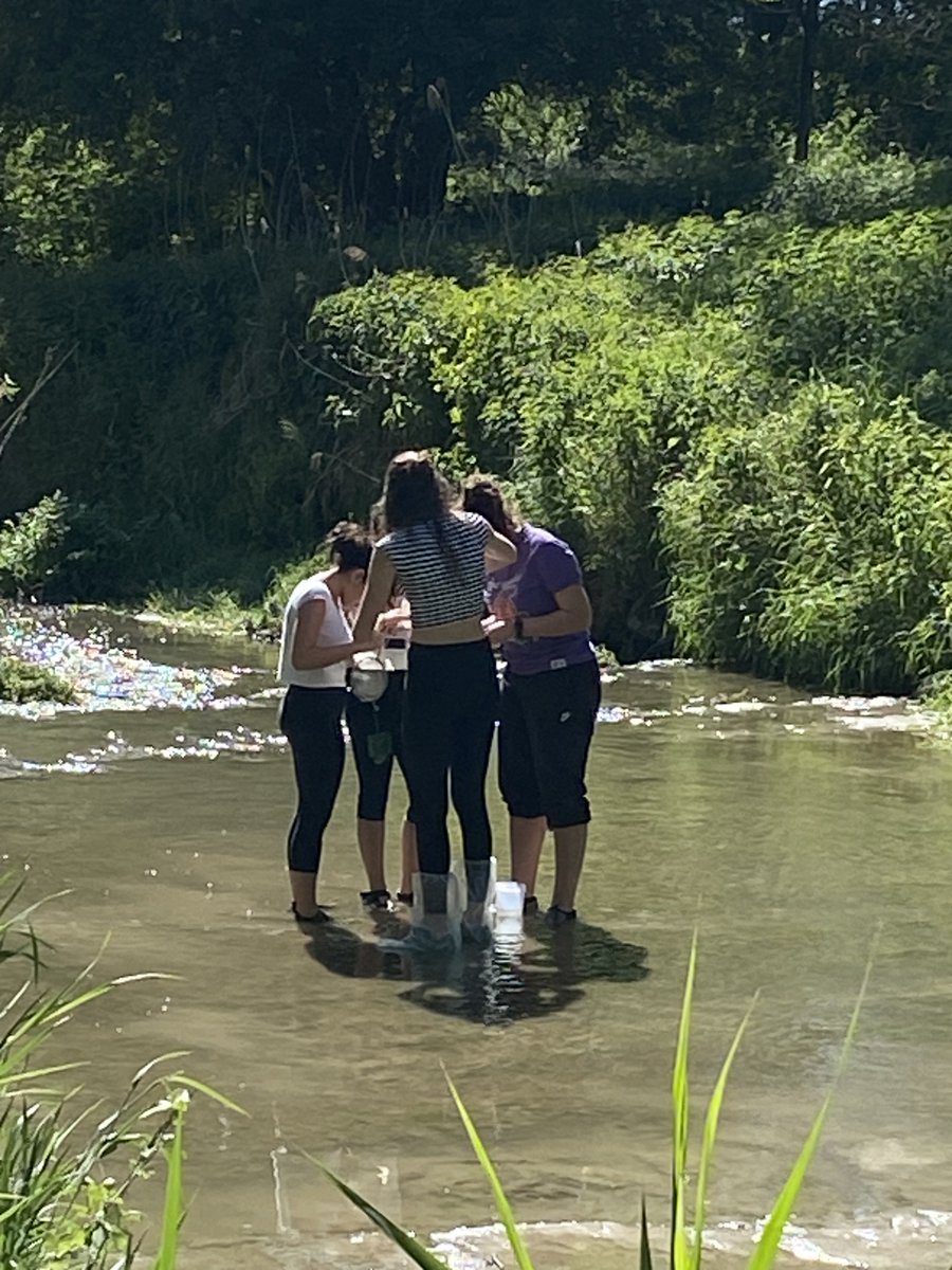 Col·legi Sant Miquel tweet media