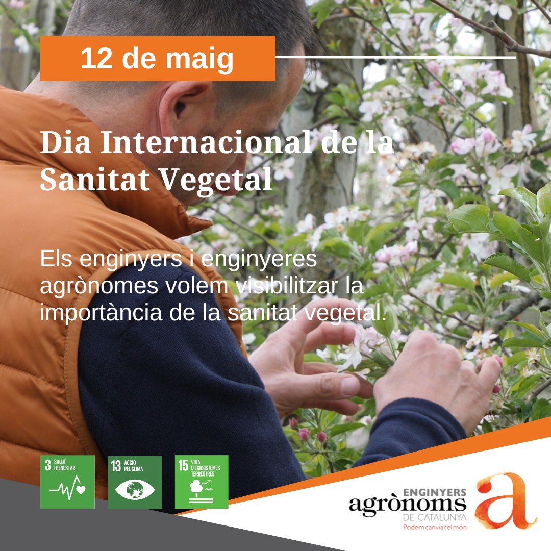 📢🌍 Dia Mundial de la #SanitatVegetal 

Les i els <a href="/Eng_Agronoms/">Enginyers Agrònoms de Catalunya</a> treballem per a l'aplicació de les millors estratègies de lluita contra les plagues.

👉 Compartim la feina que fa en <a href="/JosepPapio/">Josep Papió</a> com a assessor en gestió integrada de plagues: youtu.be/Ug8p8IBKf9M