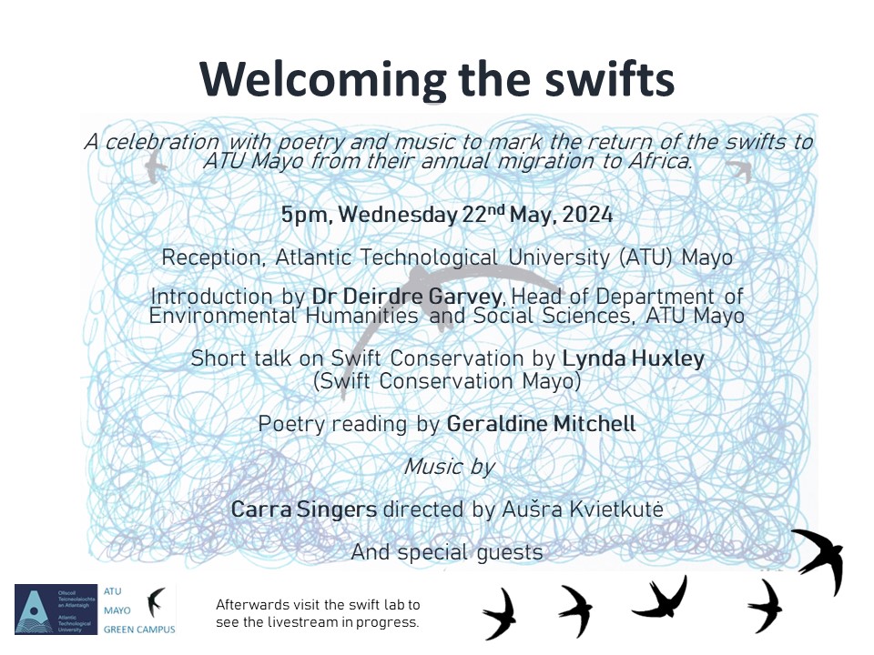 The swifts are already back in their nest boxes and we are looking forward to officially welcoming them back on 22nd May at 5pm with poetry and song. All welcome to join us. @atu_ie @ATU_GalwayCity @GreenCampusIE @justinkerr123 @OFlynnATU