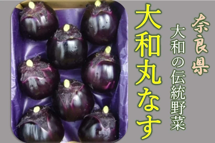 奈良県の「大和丸なす」をご紹介🍆 👉 ja-town.com/shop/a/a240513… 艶やかな紫黒色にぽってりとした丸い形状の、奈良の「大和の伝統野菜」の一つである「大和丸なす」🍆肉質はしっかりしているのに食感は柔らかで味は濃厚です☺️ #JAタウン #産地直送 #通販サイト