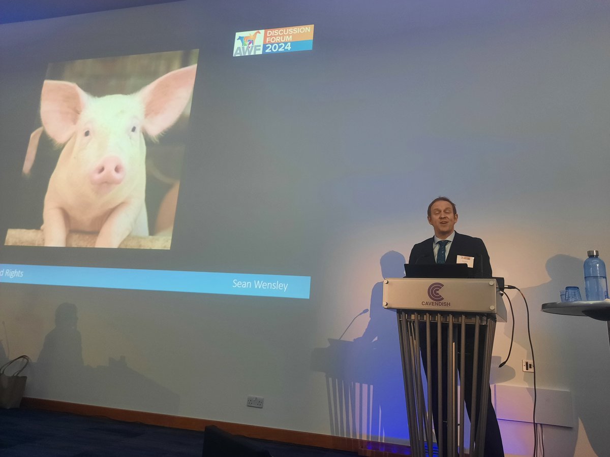 #AWFDebate @SeanWensley starts the debate by discussing animals rights vs welfare.

The UK vet profession has generally stayed clear of rights discourse, he says, eg on farrowing crates, and poses questions around how vets may proactively challenge status quo of current practices