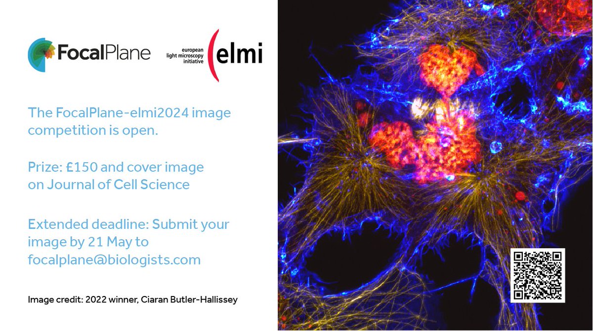 If you have an image sitting on your datastore that deserves to be shared with the world, then there is still time for this to happen as we’ve extended the deadline of our FocalPlane-elmi2024 image competition until 21 May! focalplane.biologists.com/2024/04/05/foc…