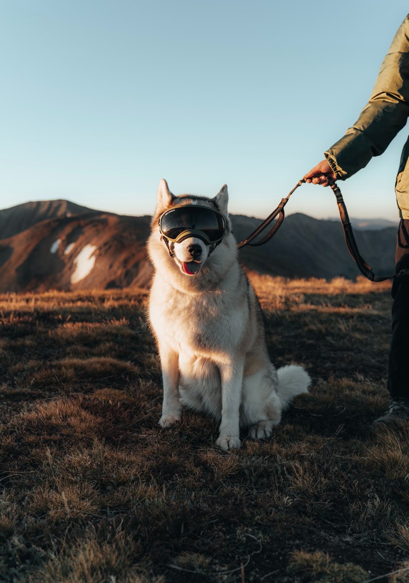 VimalRecurpost's tweet image. 