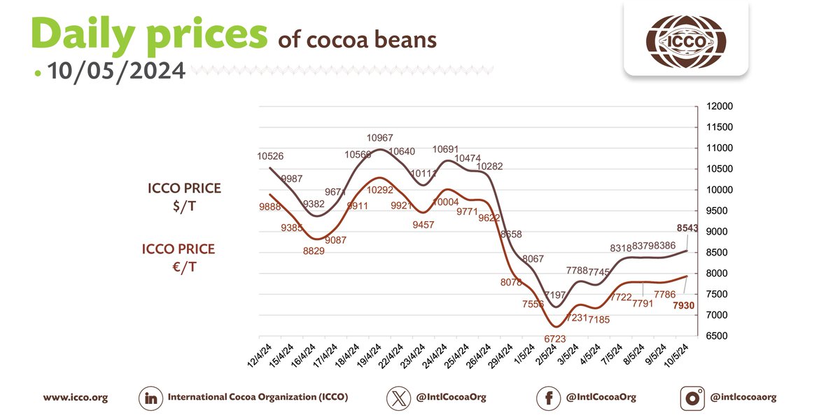 🔴 10/05/2024 #Cocoa Daily Prices - Prix du jour - Precios diarios - Ежедневные цены 💵 ICCO daily price - 8542.57 $/T 💶 ICCO daily price - 7930.49 €/T More #cocoa statistical info in our webpage🔗bit.ly/36Ad74r #ICCOCocoaHub #ICCOCocoaData #ICCOCocoaKnowledge
