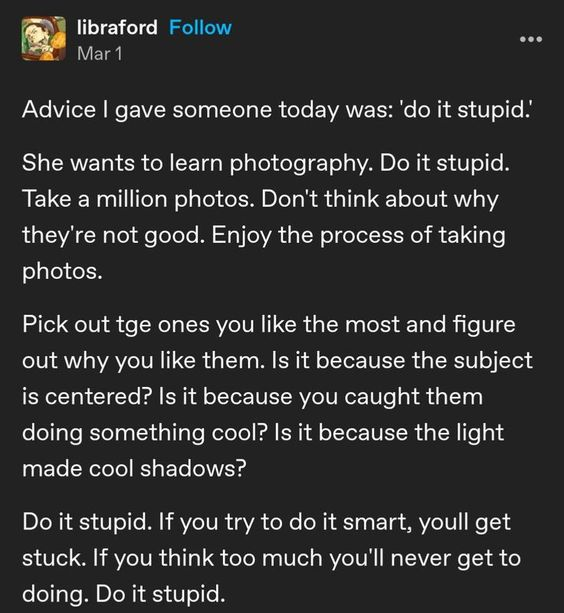 posililchick's tweet photo. do it stupid !!! https://t.co/y2BpvGWpX4
