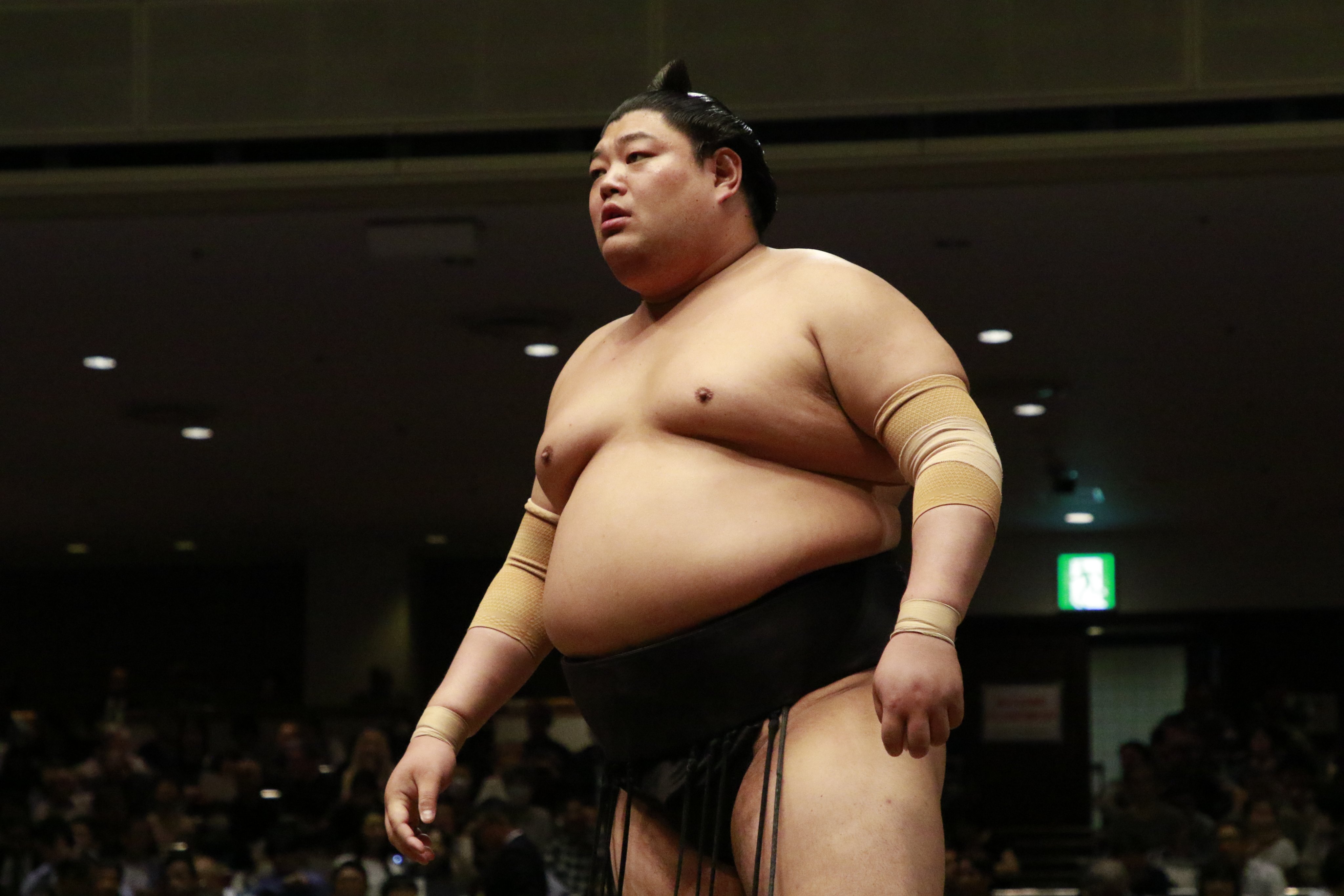 日本相撲協会公式 on X: 