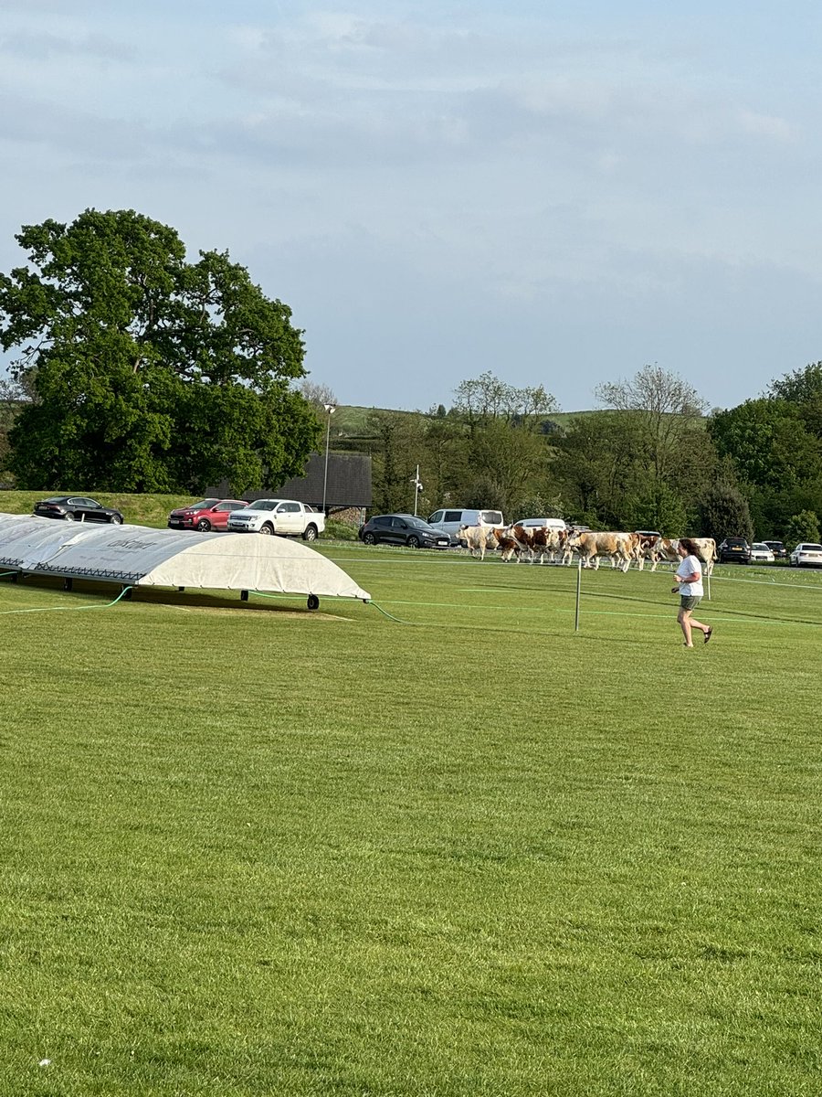 Cartmel Cricket Club tweet media