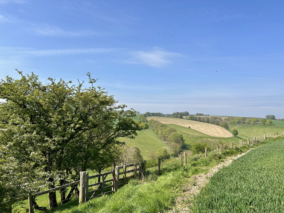 Yorkshire Wolds Weather tweet media