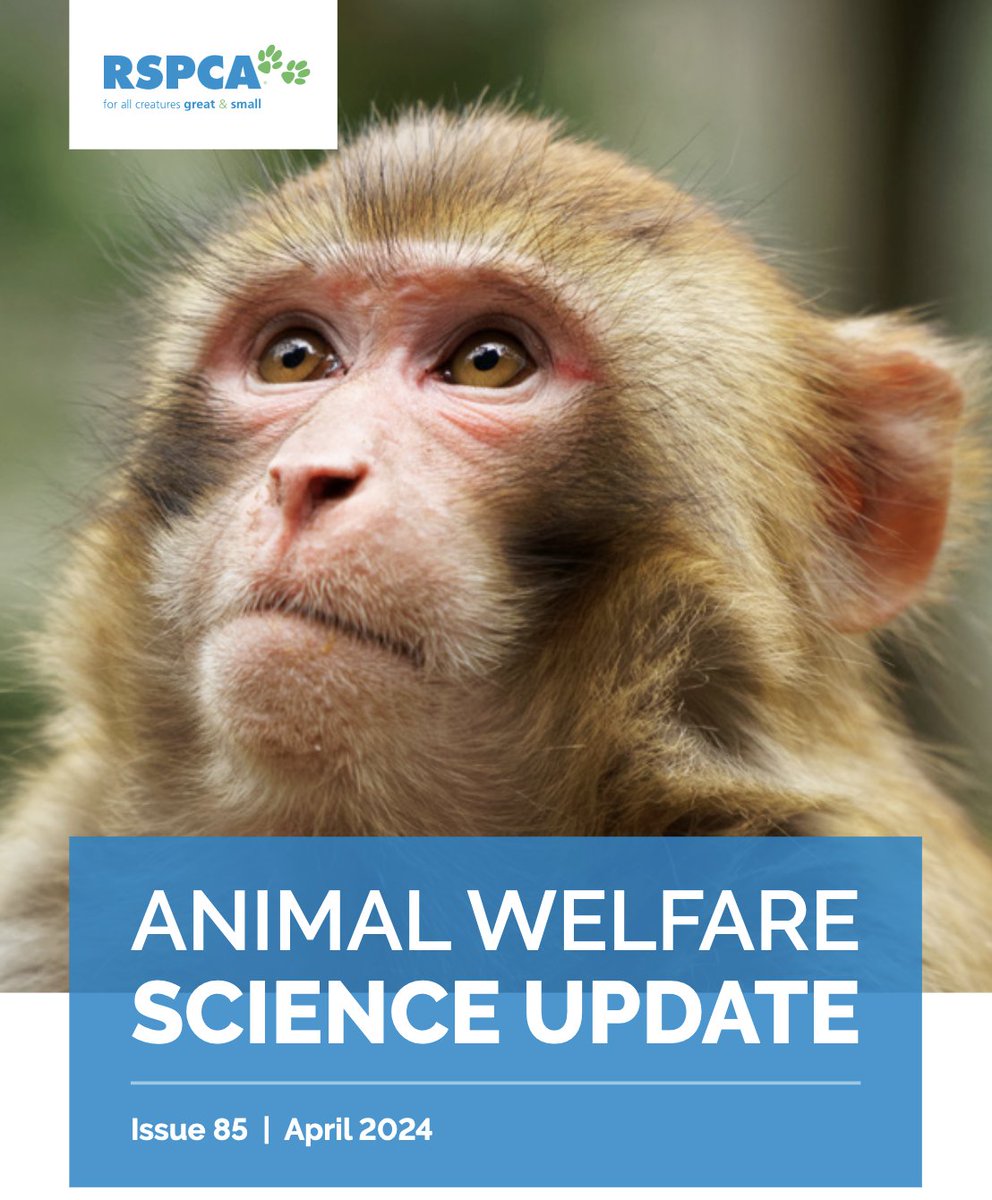 zoophilosophy's tweet photo. New RSPCA welfare science update, featuring pandemic puppies, ethical animal training, adoption of ex-laying hens, enrichment for ornamental fish, sheep personality, understanding horse behaviour, and welfare assessment for dolphins and macaques
https://t.co/UOdfLuh9OI https://t.co/KuK0eE2ERg