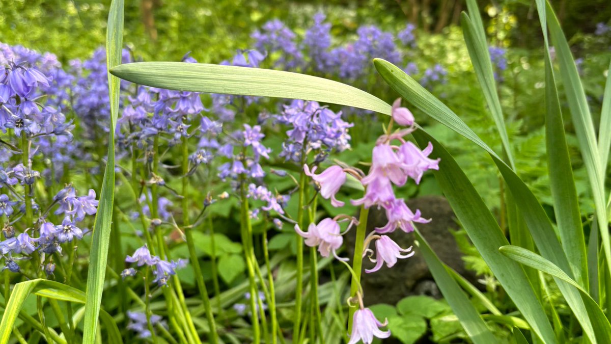 Sheffield Hallam University Multifaith Chaplaincy tweet media