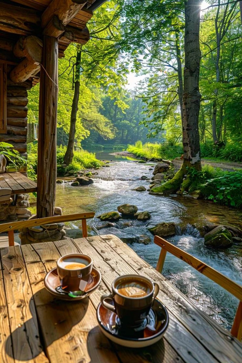 Good Morning❣️ Have a beautiful Monday.. 🌞☕️🌲🌳 (Photo from Cozy Places)