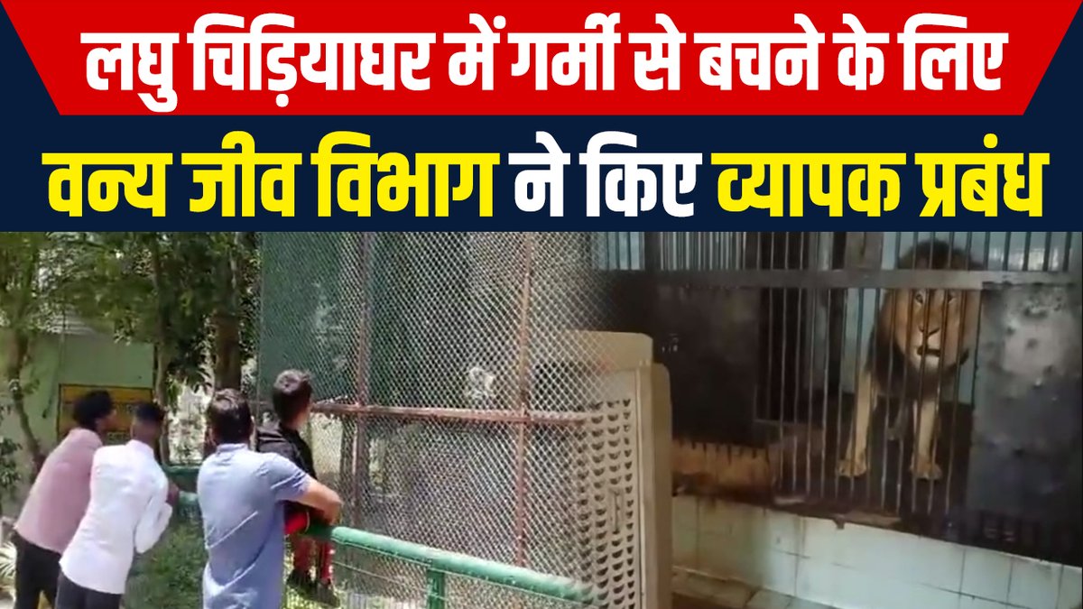 लघु चिड़ियाघर में गर्मी से बचने के लिए वन्य जीव विभाग ने किए व्यापक प्रबंध
facebook.com/dainiksaveraha…
#bhiwani #haryana #WildlifeDepartment #Summer #arrangements #animals #heatwave #prevention #zoo #HaryanaNews #LatestNews #HindiNews #dainiksaveraharyana
