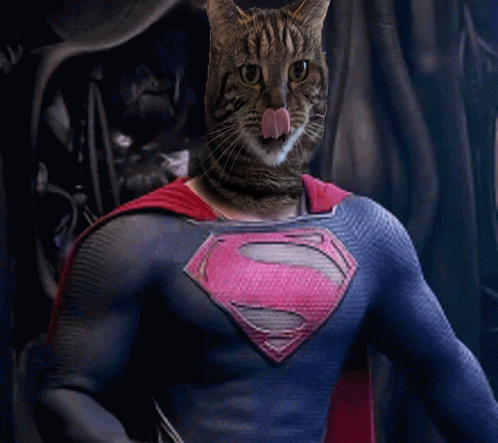 lolathecat2024's tweet photo. Calling all crypto enthusiasts! 📢 Let's make some history with $Lola! 🚀🐾 

Join the meow-vement now!

#lolathecat #CAT #3LeggedCat #ELONMUSK #Aveai #DEXTools #Coingecko #CoinMarketCap #BitMart #MEXC https://t.co/BSkm8TEuDp