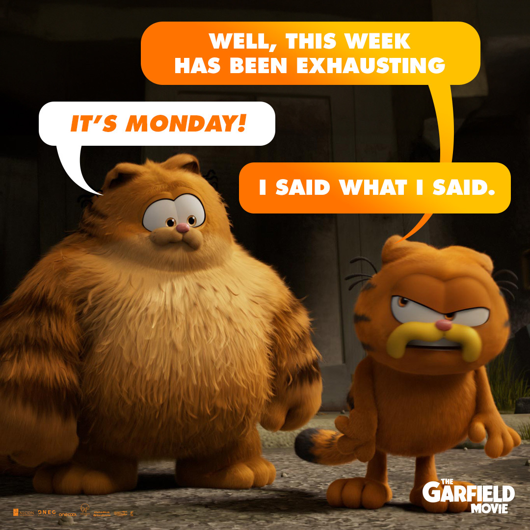 You can have Monday blues, but they can never catch up to Garfield’s Monday blues. The #GarfieldMovie - exclusively in cinemas May 17 in English, Hindi & Tamil - in 2D & 3D!