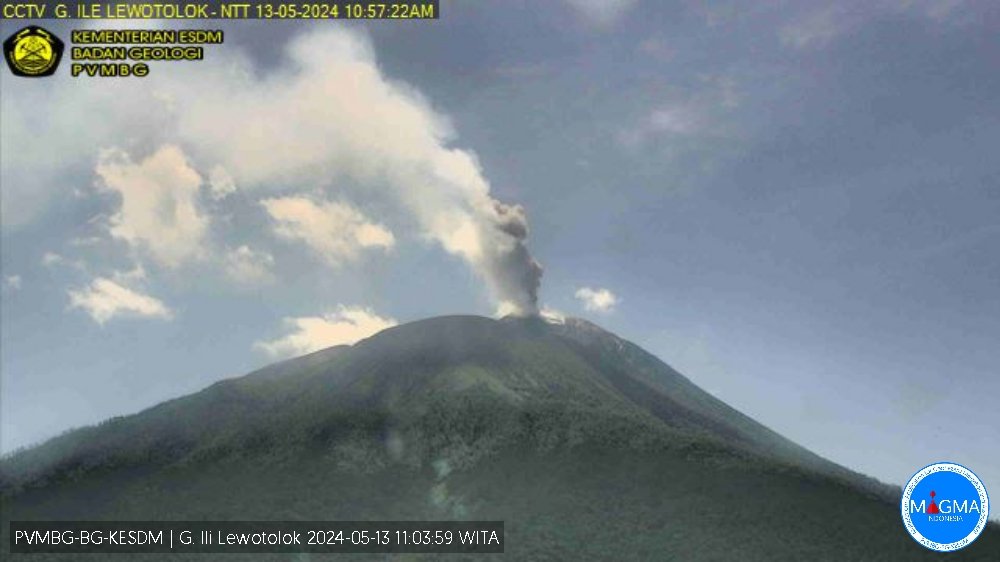 Terjadi erupsi G. Ili Lewotolok pada hari Senin, 13 Mei 2024, pukul 10:50 WITA tinggi kolom abu teramati ± 400 m di atas puncak. Erupsi terekam di seismograf dengan amplitudo maksimum 30.1 mm dan durasi 99 detik. magma.esdm.go.id/v1/gunung-api/… via @id_magma