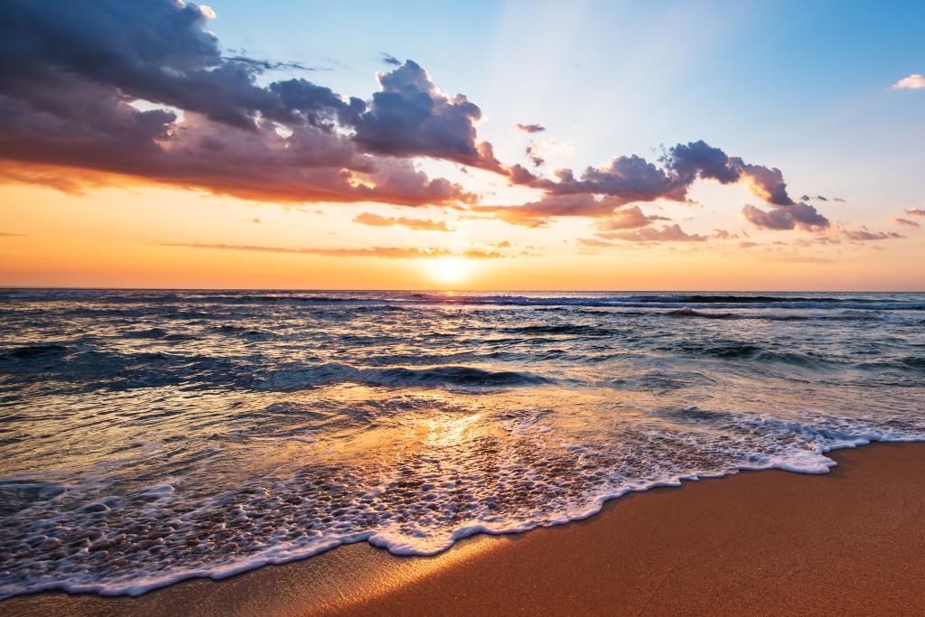 iisumera's tweet image. Mountains or Beaches?