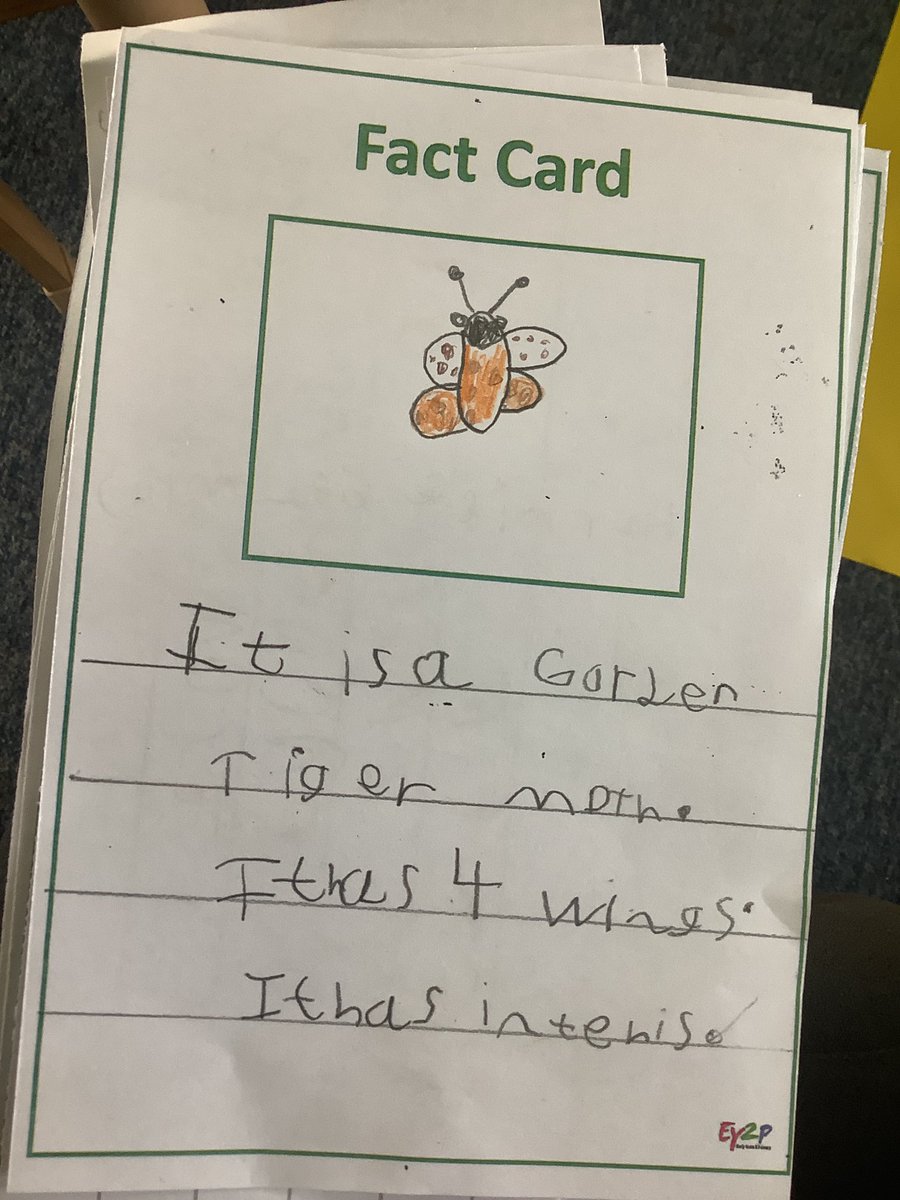 Absolutely blown away by the writing in Reception this morning! We have loved learning about caterpillars, butterflies and moths. We can’t wait to release our butterflies later this week. #llpseyfs #llpsenglish #llpsUTW Authors: Harriet, Malone and Trixie
