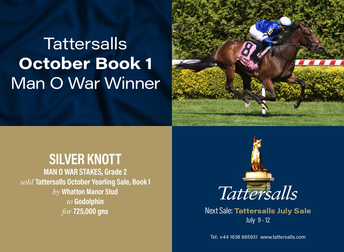 💥 @Tattersalls1766 October Book 1 Man O War Winner 💥 🏆 SILVER KNOTT wins the Gr.2 Man O War Stakes. Sold at the October Yearling Sale, Book 1 by @whattonmanor to @godolphin for 725,000gns. 🗓 Next Sale: July Sale, 9 - 12 July tattersalls.com