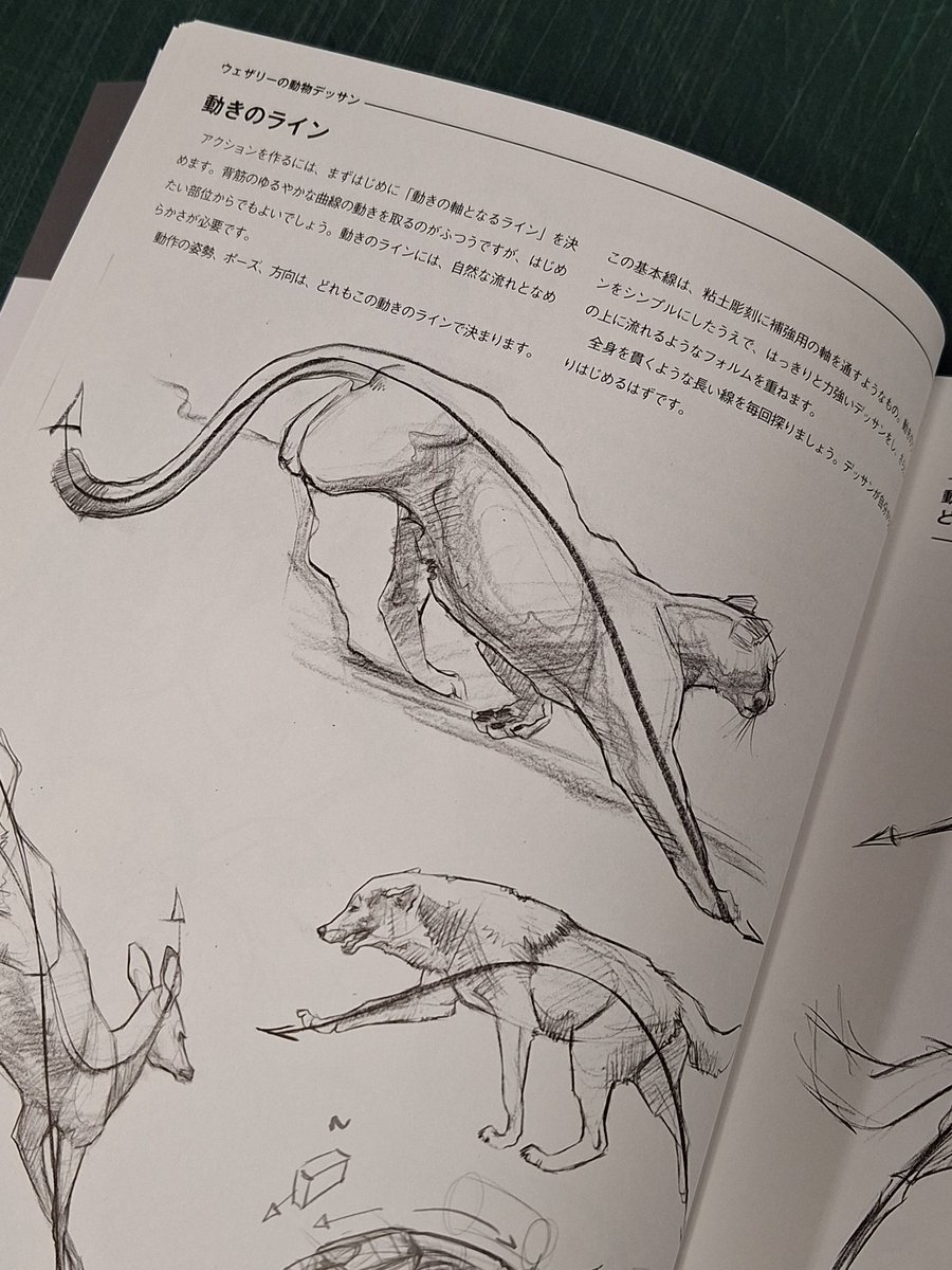 グラフィック社 編集部 on X: 