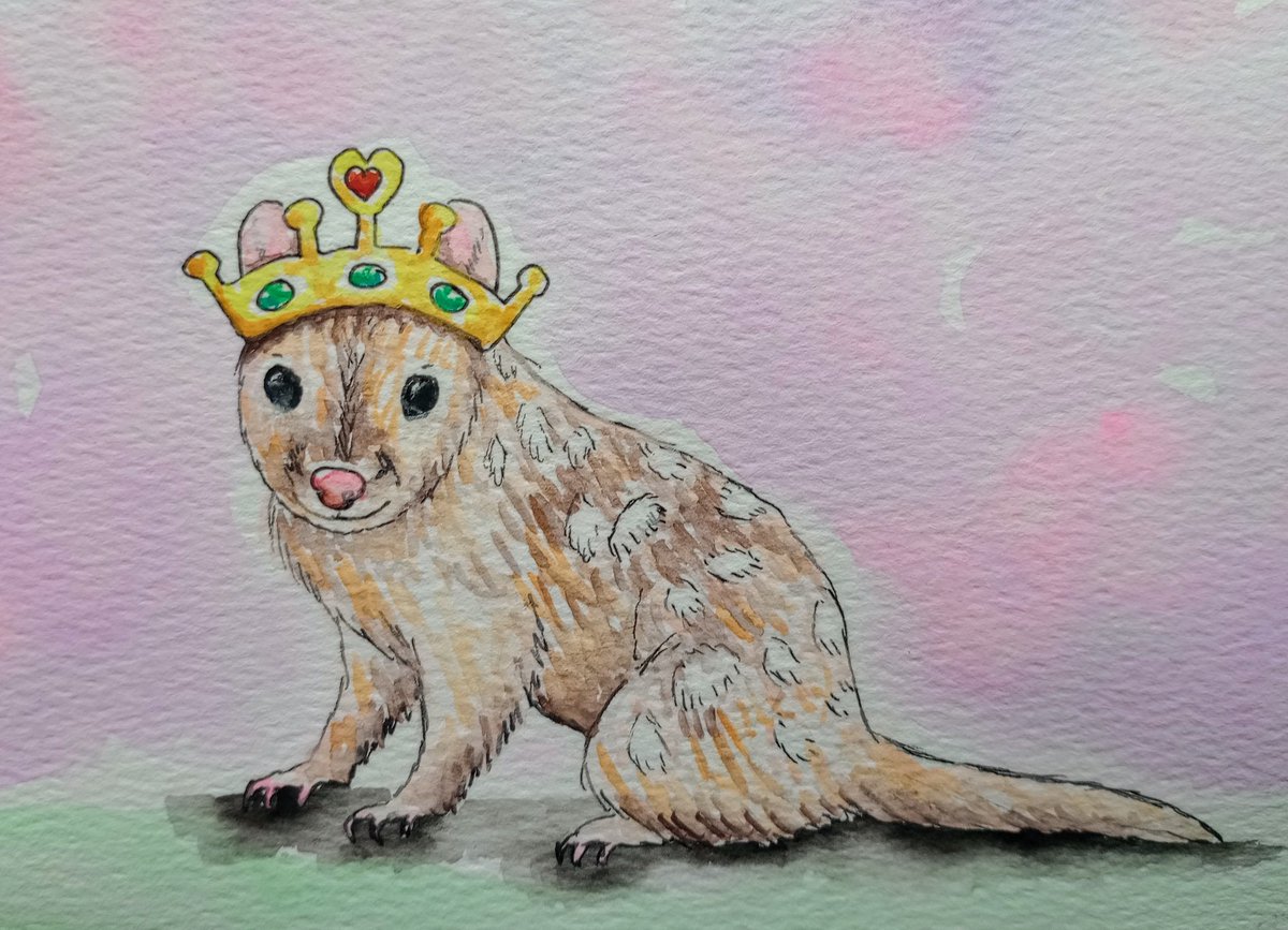 Happy #AnimalAlphabets Monday! This week's word is Queen so he is my regal Quoll 😊 Hope you have a great week! 💕 @AnimalAlphabets #quoll #queen #wordoftheweek #weeklyartchallenge #Cuteanimal