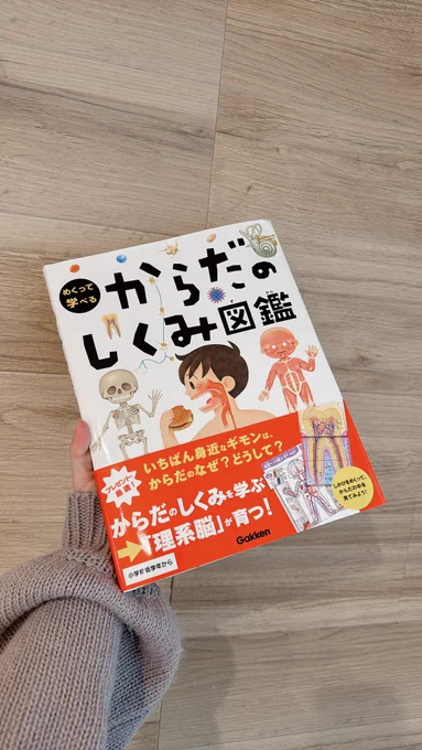 はたらく細胞にハマってる子供たちに この本買ってあげたらめちゃくちゃ喜んでくれた めくれて楽しいし、詳しく乗ってるけど細すぎなくて3歳5歳の姉弟でもしっかり楽しめる! 親も楽しい  #からだのしくみ図鑑