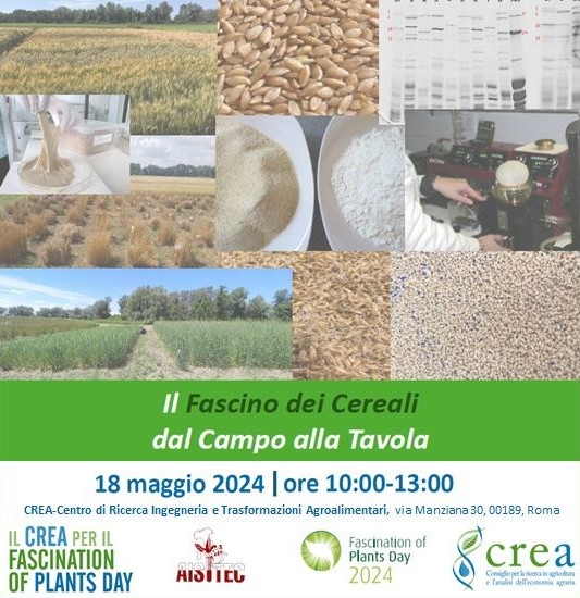 FASCINATION OF PLANTS DAY 2024: Il Fascino dei Cereali dal Campo alla Tavola 🌾🌽 Il CREA Ingegneria e Trasformazioni Agroalimentari, organizza sabato 18 maggio una visita didattica presso la sede di Roma. Per saperne di più👇📱💻 crea.gov.it/web/ingegneria…