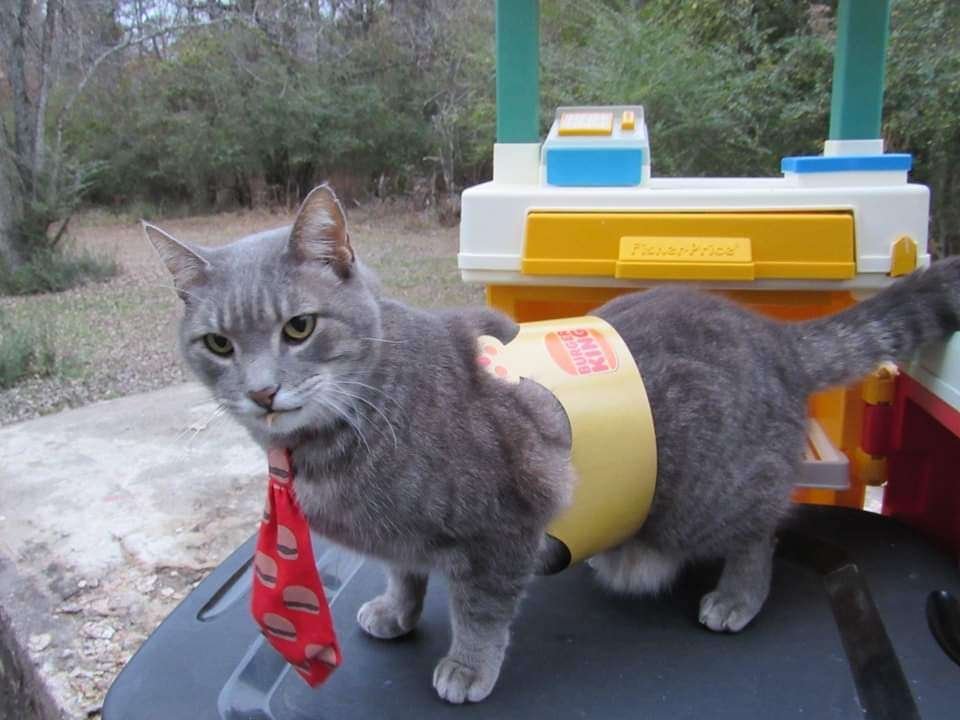 Just gonna leave it here