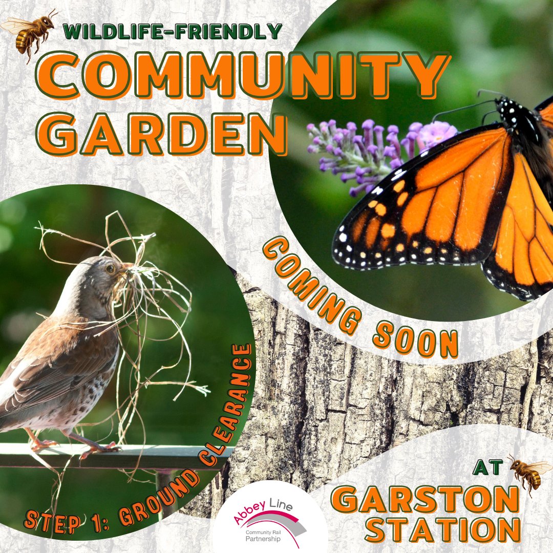 Get involved! 🦋🐝🌻 #garston station is about to be transformed with a new wildlife-friendly community garden. Ground clearance is underway! For more info and how to get involved, visit: bit.ly/ALCRP0524 #wildlife #biodiversity #garston #CommunityRail #abbeyline