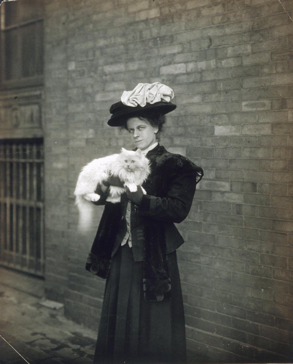 catpartyletsgo's tweet photo. Today we’re going to learn about one of the first female photojournalists and cat photographers, Jessie Tarbox Beals. #photography https://t.co/8hf3xSAJ1g