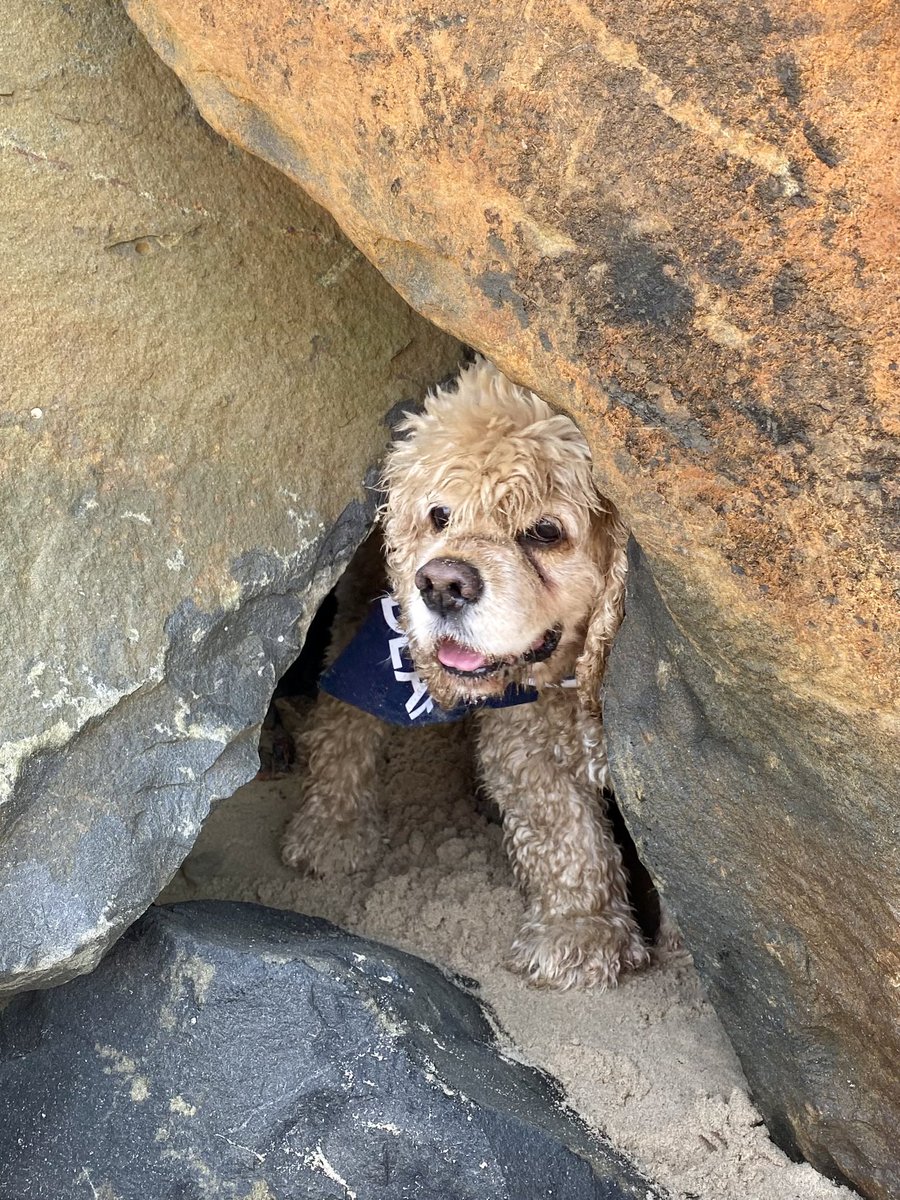 While #PaddlingRonnie was having fun in the water

I decided to become an adventurer & go caving 

I’m now #IskyTheExplorer