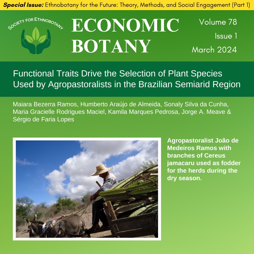 #EconomicBotany Special Issue article now available, "Functional Traits Drive the Selection of Plant Species Used by Agropastoralists in the Brazilian Semiarid Region.”

For SEB member access:
Visit ethnobotany.org &amp; login at the top of page!

#SEBpublications #SEBmembers