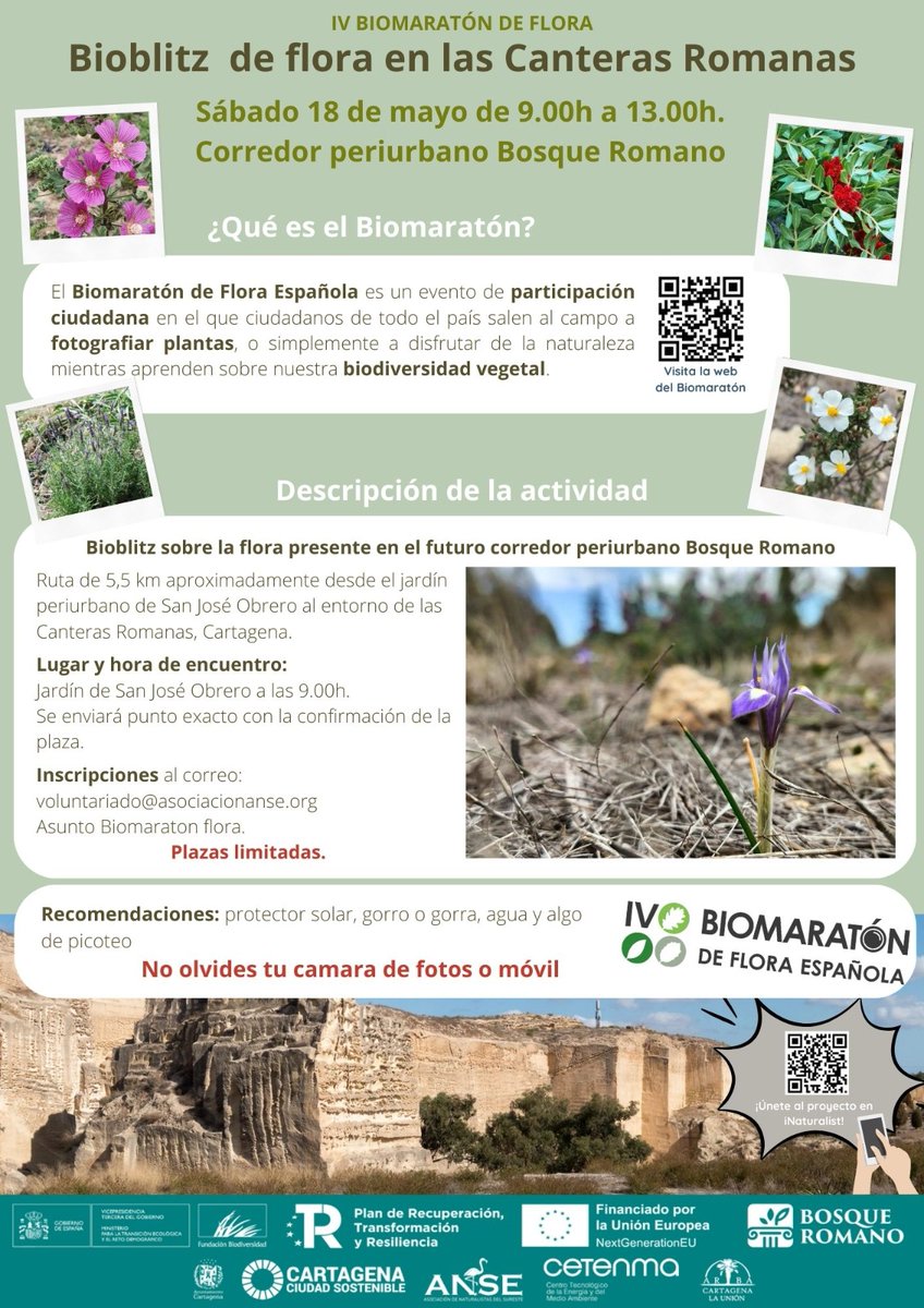 🔵ACTIVIDAD🔵

🌱🌿🍃¡Apúntate al Bioblitz de flora en las canteras Romanas, del proyecto #bosqueromano!

➡️Más información: asociacionanse.org/apuntate-al...…

@FBiodiversidad  #ProyectosPRTR #planderecuperación #NextGenerationEU @CETENMA  @AytoCartagenaES  @ARBACartagena