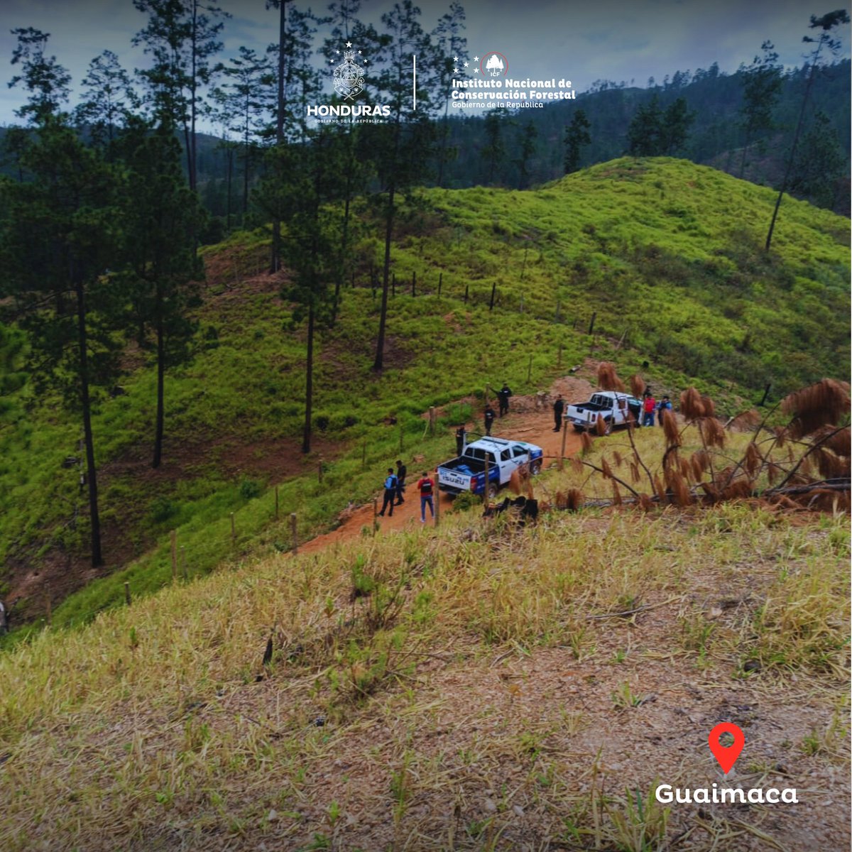 🚨Inspección por denuncia📞 de descombro en 📍Guaimaca | El ICF a través de la Fuerza de Tarea contra el Delito Ambiental 🚫🪵en coordinación con el  <a href="/comando_bosque/">Comando de Protección del Bosque , (C-9)</a> , Policía Preventiva y <a href="/dpi_honduras/">Dirección Policial de Investigaciones (DPI)</a>  , realizó una inspección en Cañada Las Flores, descubriendo:

🌿 172 árboles