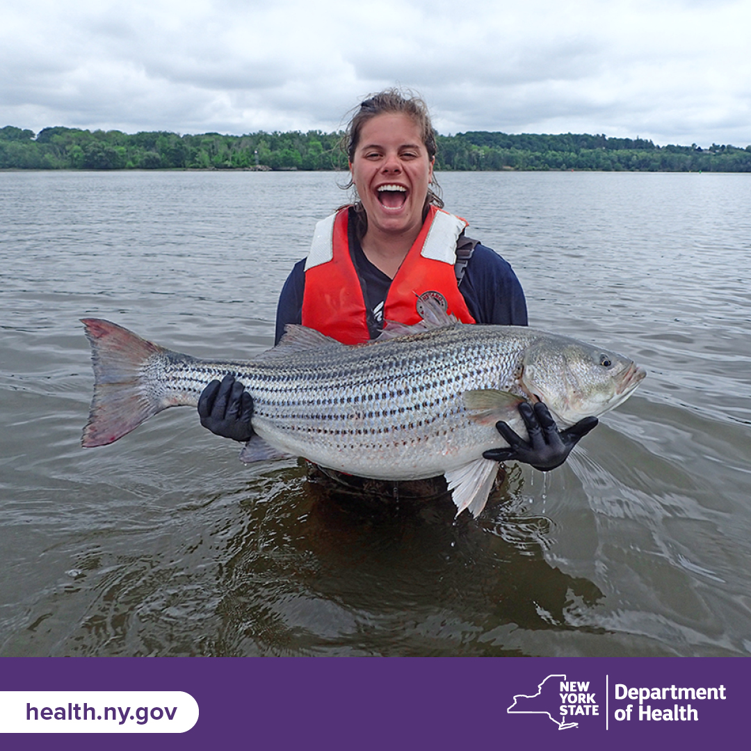 Planning on fishing the Hudson River? Be sure to check the Department’s advisories for consuming the fish you catch for the River and its tributaries, which varies by who you are, where you fish and watch you catch: health.ny.gov/environmental/…