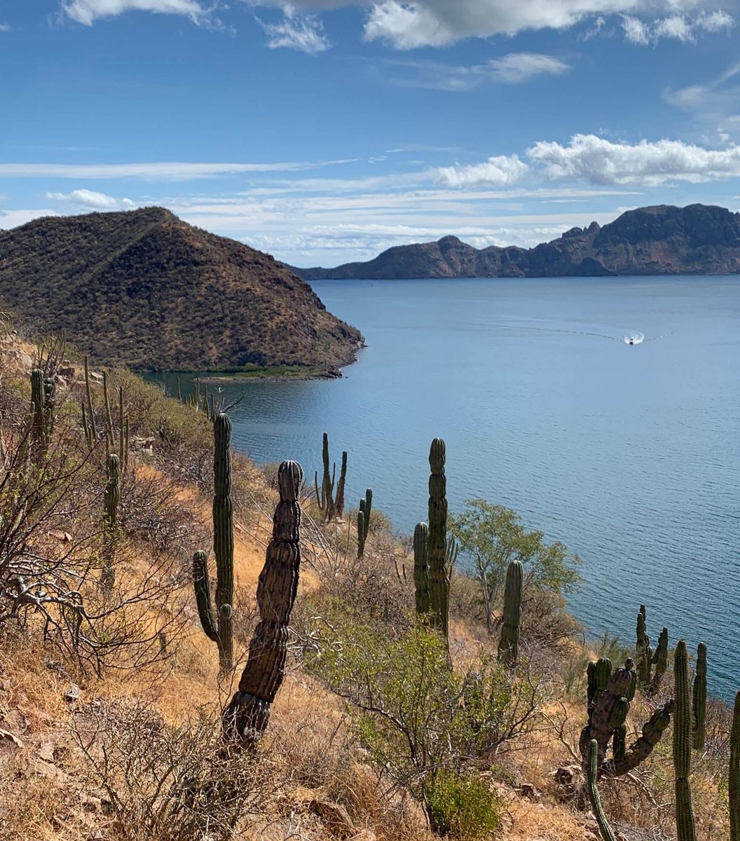 Loreto is one of Mexico's best kept secrets with rugged mountains and crystal clear waters. 

Arrange an exchange to this 3-bedroom villa just a short stroll from #LoretoBay 🇲🇽

#Mexico #visitmexico #baja #homeswapping #travel guardianhomeexchange.co.uk/homeswap/40105
