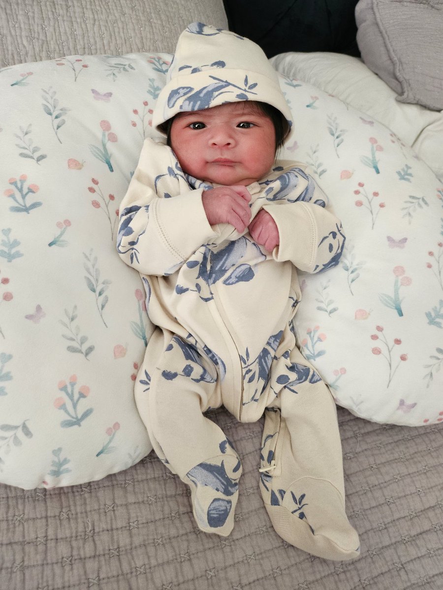 Mila Avilés tweet media