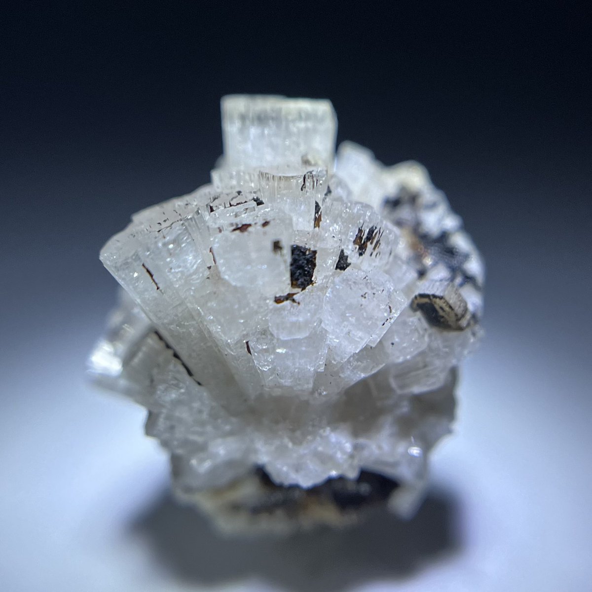 本日カナダから石が届きました✨

モンサンチレール産のレイフ石(Leifite)
ベリリウムを含む稀産鉱物です😊

#自分が持っているベリリウムを含む鉱物を見せてください