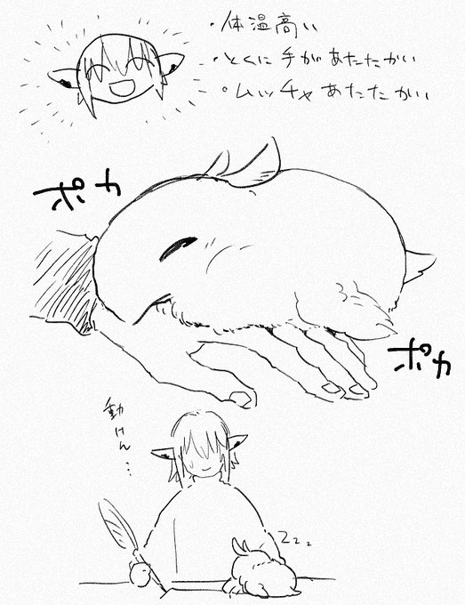 ぽかシュファンさん 