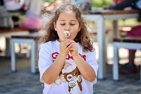 AIS Budapest tweet media