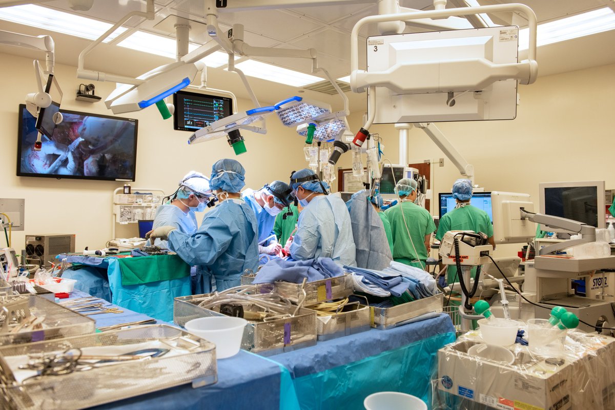 NorthwesternMed's tweet photo. Arthur “Art” Gillespie, a former #Chicago police captain, is the first person at Northwestern Medicine to get a #DoubleLungTransplant for both #COVID19 and #LungCancer. @NM_Lung #NationalPoliceWeek #NMBetter https://t.co/NBaqD6qPpu