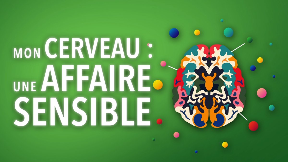 🧠👀 Vous avez manqué la semaine du cerveau à Lyon cette année ? Retrouvez 3 vidéos dans la playlist dédiée sur notre chaîne YouTube 👉 youtube.com/playlist?list=…
Bon visionnage !
#SDC2024 <a href="/Semaine_Cerveau/">Semaine du Cerveau</a>