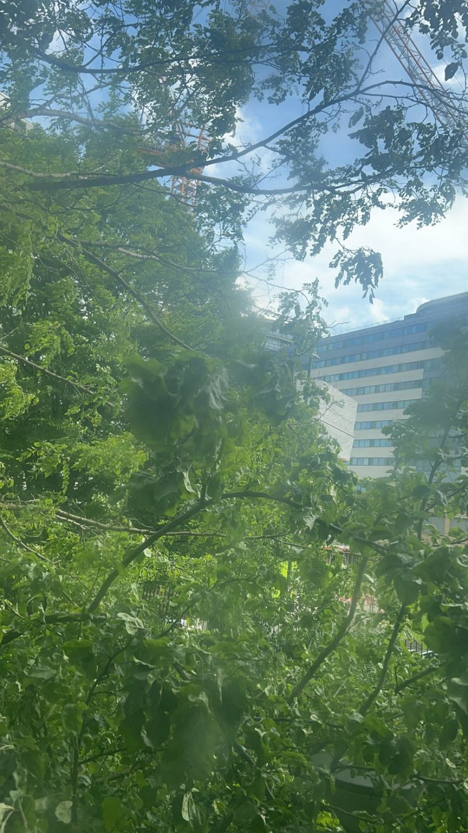 kryztal ⋆˚࿔ tweet media