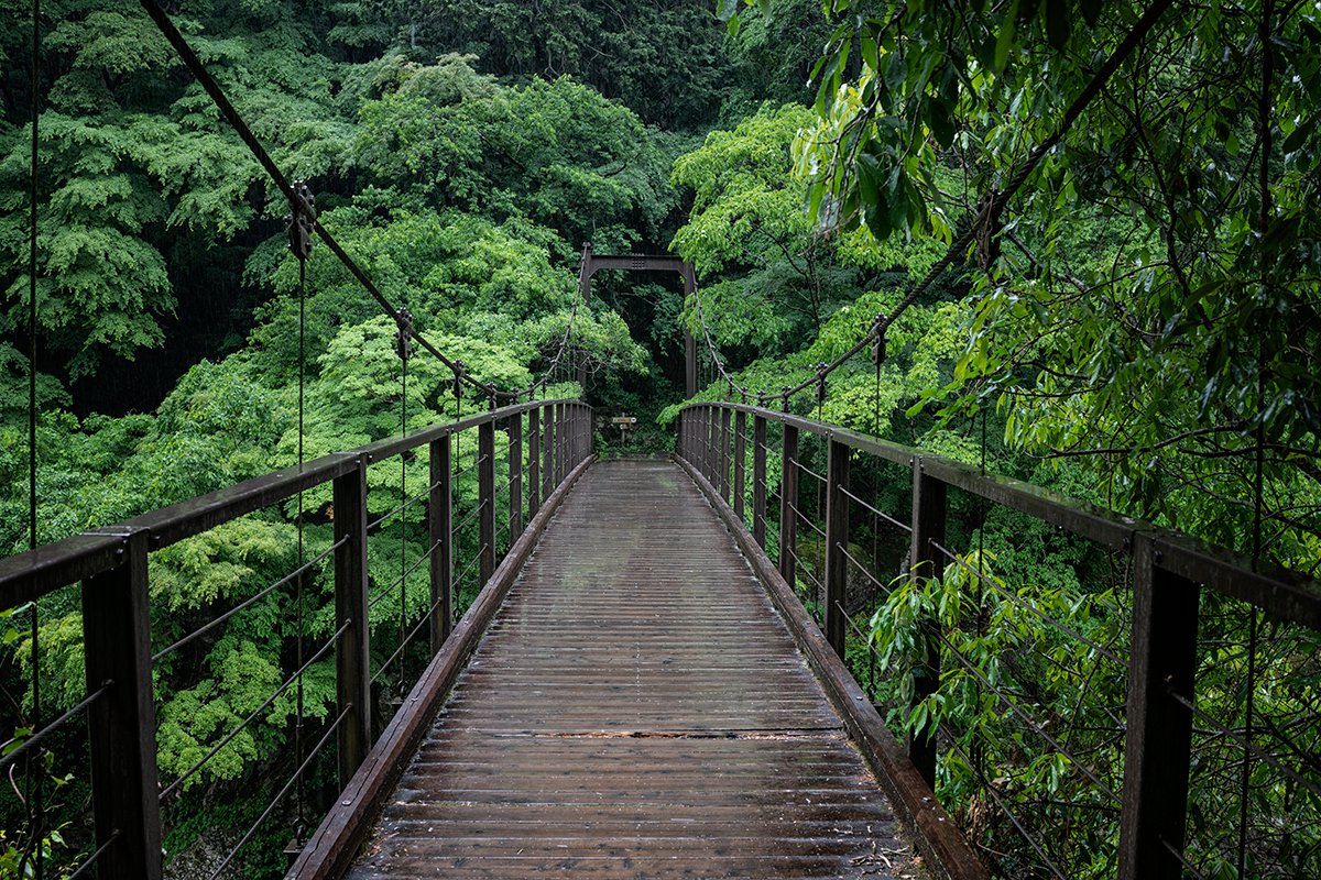 jameswdelano's tweet photo. You feel like you've never seen green before until you first saw spring in Japan.
Okutama & Koyasan , Japan
#okutama #japan #green #spring #springreen #lush https://t.co/3BmexNPLaC