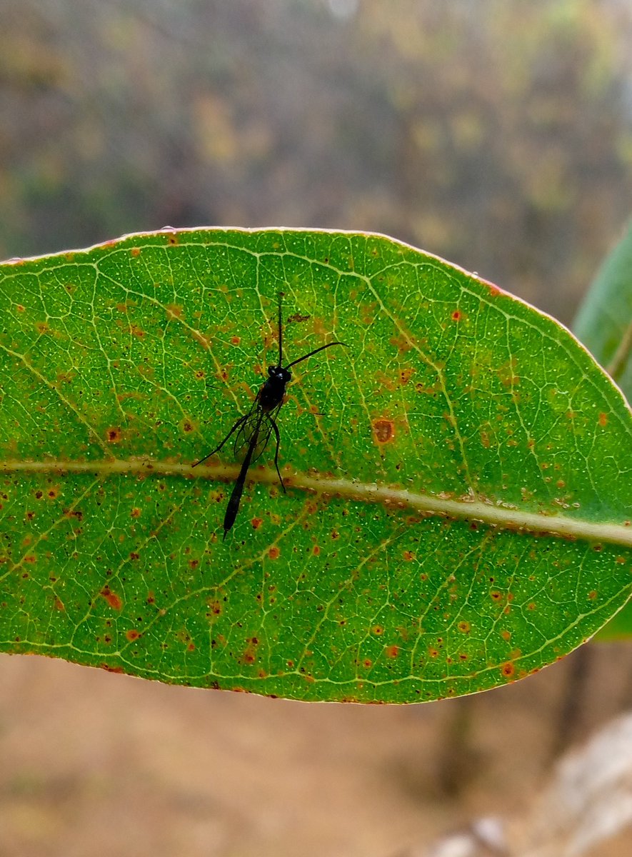 Ashenafi (@ashenafik_) on Twitter photo 